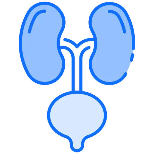 Icono de Urología